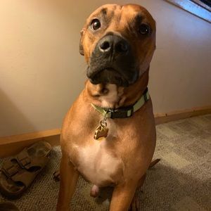 Meet your Posher, Bobby